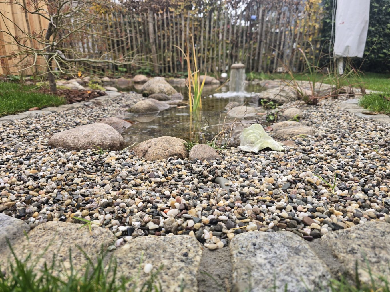 Neubau Libellenteich