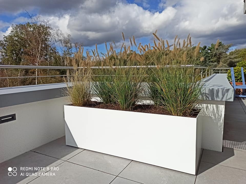 Bepflanzung Dach Terrasse